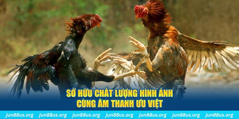 iwinclub PP Điện Tử