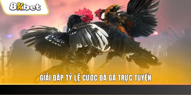 iwinclub xổ số đài miền trung