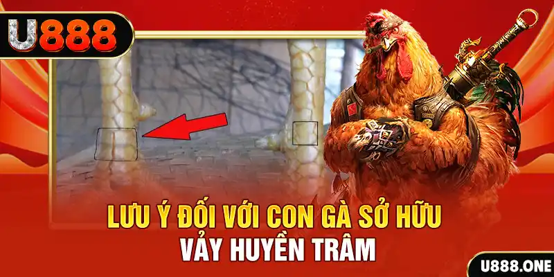 iwinclub kết quả xổ số miền nam hôm nay