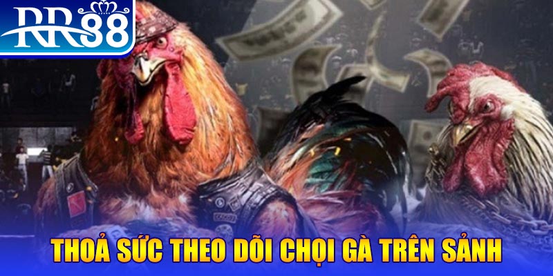 iwinclub trực tiếp đá gà c1
