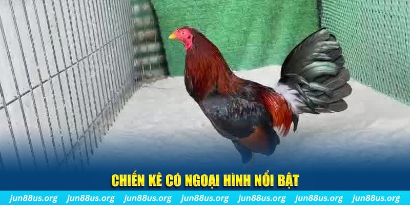 iwinclub game nổ hũ là gì