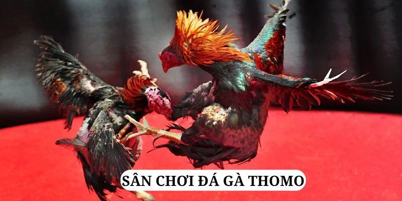 iwinclub trực tiếp xổ số miền bắc